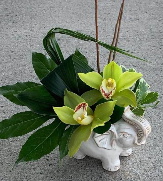 an image of orchids and greenery inside an elephant shaped ceramic vase.