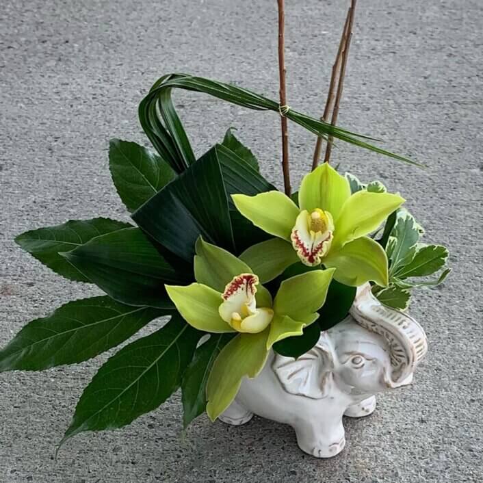 an image of orchids and greenery inside an elephant shaped ceramic vase.