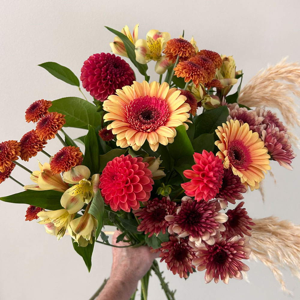 Autumn Wild Flowers